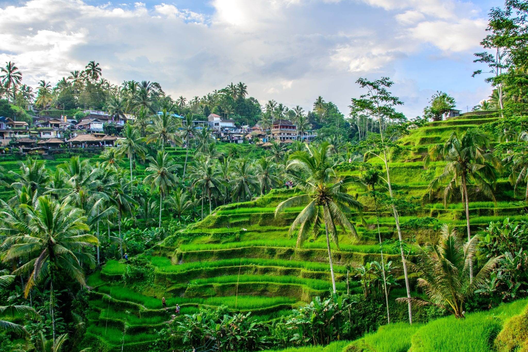 UBUD Payangan Bali Indonesia Puri Naga Toya